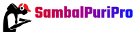 Sambalpuripro.xyz